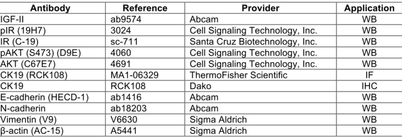 Table S1: Antibodies for Western blot, immunohistochemistry and immunofluorescence  