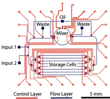 Figure  2-1:  Layout  of  a  microfluidic  chip.