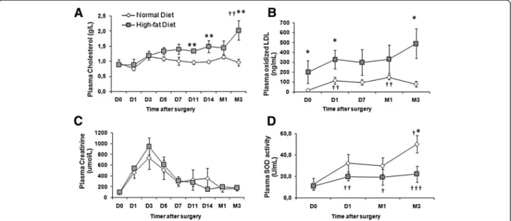 Table 1 Kidney function and blood metabolites of transplanted animals fed a normal or a high-fat diet