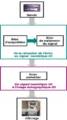 Figure I. 8.  Schéma  du  fonctionnement standard d’un échographe 