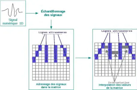 Figure I.9. Passage  du  signal  numérique  1D à l’image échographique  2D  Échantillonnage des  signaux :  Le signal reçu par  le convertisseur-échantillonneur  est échantillonné  afin d’être adressé dans une matrice  512*512 et généralement quantifié  su