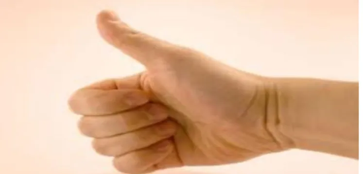 Figure 01: An example of a gesture “a thumb up” (www.humintell.com). 