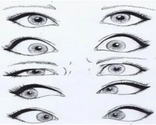 Figure 03: Different expressions of “Eye contact” (www.pinterest.com). 