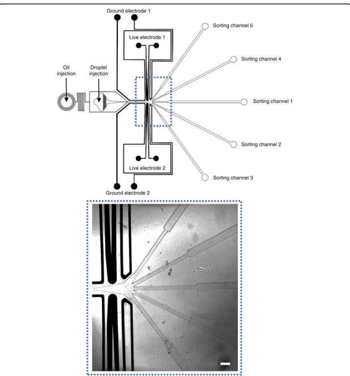 Fig. 1 Design of the multiplexed droplet sorter. Top: design of the whole device. Droplets can be reinjected in the sorter and precisely spaced by oil for further sorting