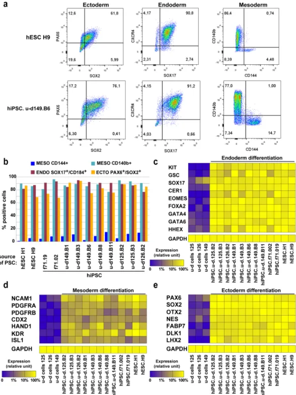 Figure 3.  Early differentiation of feeder and feeder-free bulk hiPSC lines. (a) Flow cytometry profile of hESC  H9 and hiPSC.u-d.149.B6 for ectoderm (PAX6/SOX2), endoderm (SOX17/CXCR4) and mesoderm (CD140b  or CD144) germ layer after trilineage differenti