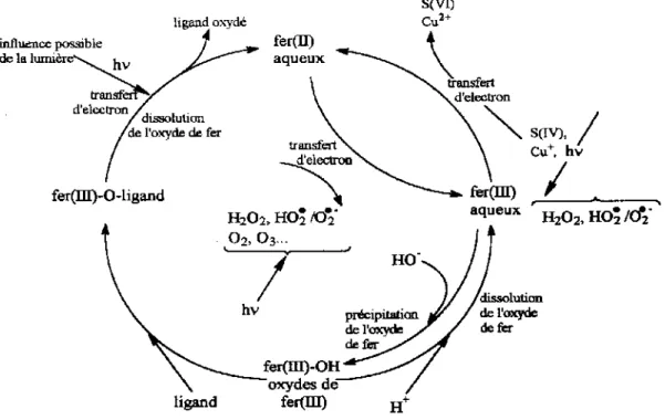 Figure I.1 : Cycle du fer dans l’eau atmosphérique selon Behra et coll [13].