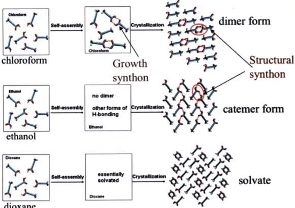 Figure  3-3:  The  link hypothesis for tetrolic acid.  Red circles  highlight the structural synthons in  forms  I  and  II