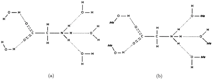 Figure  3-16:  Schematic  demonstration  of the  calculations  of the  interaction  energies  between the  hydrogen  bonding  sites  of  glycine  and  (a)  water/(b)  methanol.