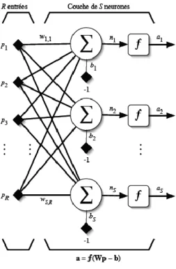 FIG. 3.5 – Couche de S neurones. 