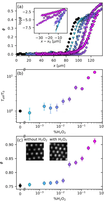 FIG. 2. (a) Density profile, φ(x), at the top of the sediment for various H 2 O 2 concentration color-coded as in Fig