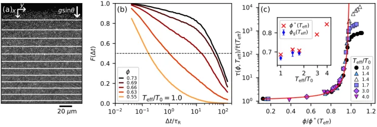 FIG. 4. (a) Experimental image of the sediment showing the slicing to get access to different densities