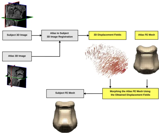 Fig. 2 General dataflow proposed to generate 3D subject-specific FE meshes.