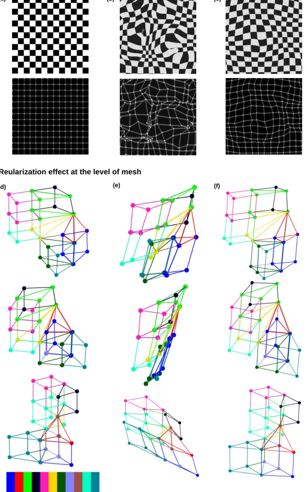 Fig. 4 Effect of the regularization term: at the level of the image, (a) input image and the distribution of control points, (b) deformed input image without using the regularization term and the distribution of control points after registration, (c) defor