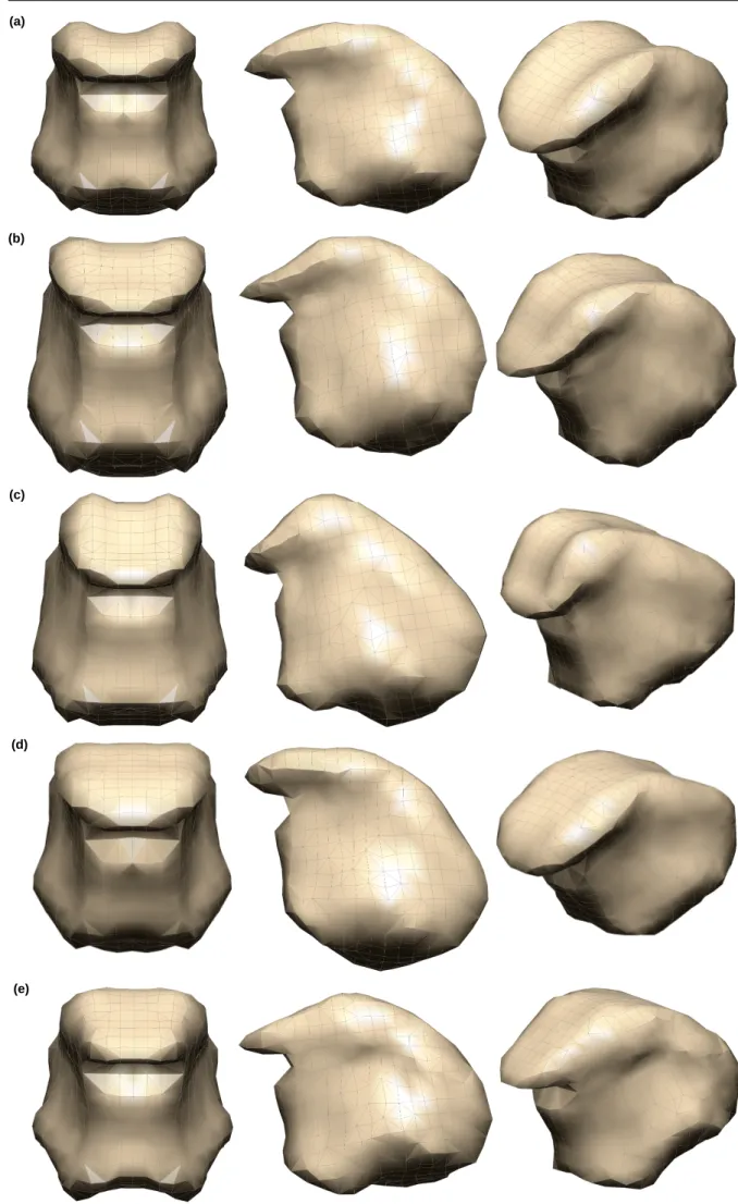 Fig. 6 Result of atlas FE mesh morphing using the proposed method: (a) Atlas FE tongue mesh (b) Subject-specific FE tongue mesh (Normal