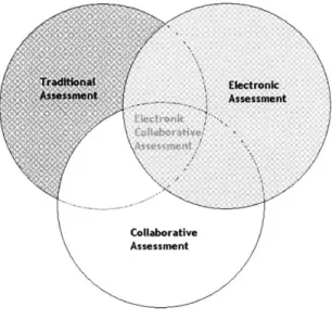 Figure  5-1:  Assessment  Schema