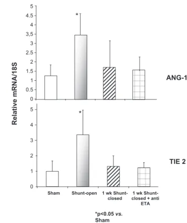 FIGURE 5. Quantification of angiopoietin-1 (Ang-1) and Tie 2 mRNA levels in lung parenchyma from the sham, high-flow, flow-correction, and flow-correction plus anti-ETA groups