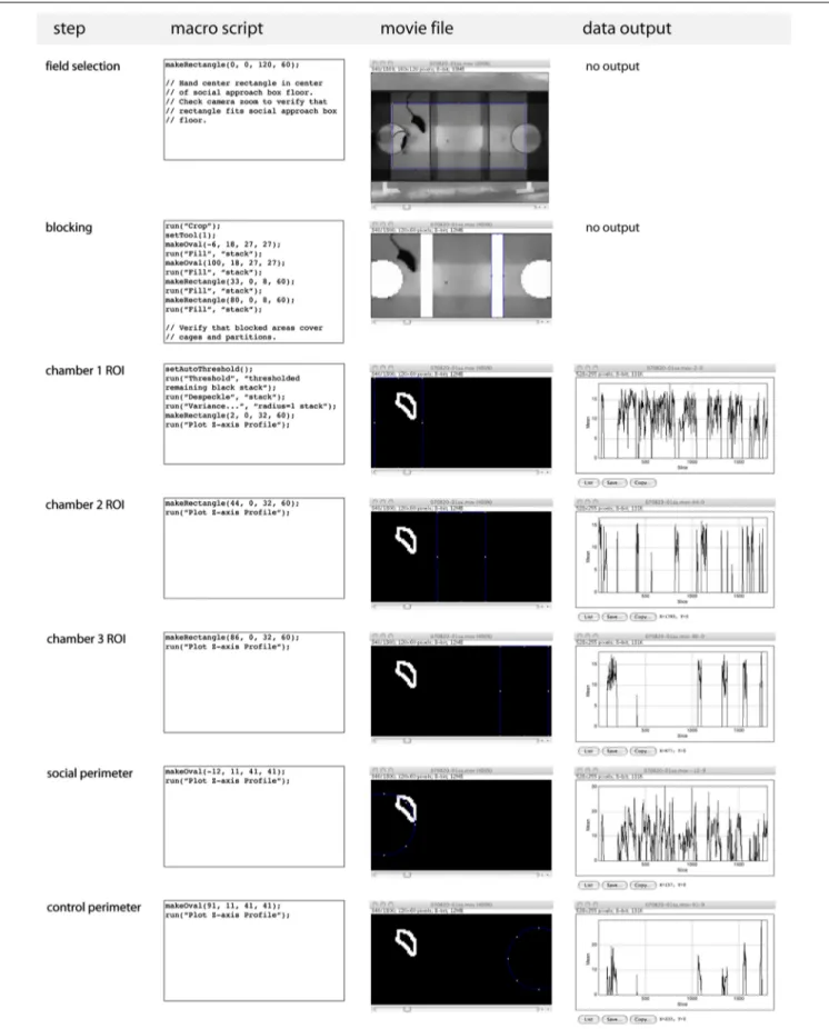FIGURE 2 | Computer-assisted scoring of social approach. Processing of social approach movie fi les using ImageJ computer scripts