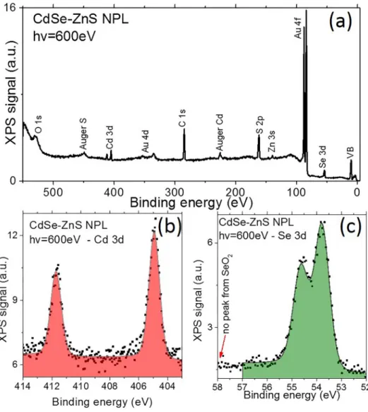 FIG. 3. (a) Overview of the X-ray pho- pho-toemission signal for a thin film of the CdSe/ZnS NPL deposited on a gold substrate