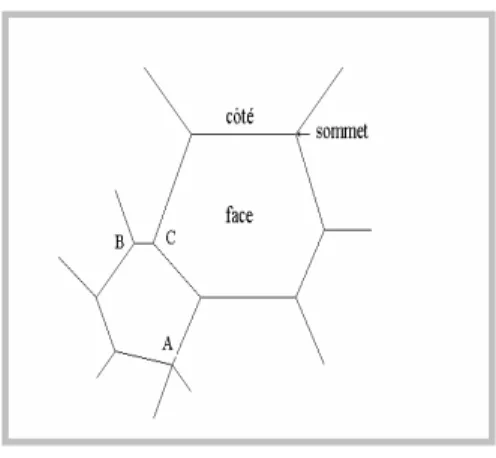Figure II.1 : Schéma d'une structure de grains en 2D. 