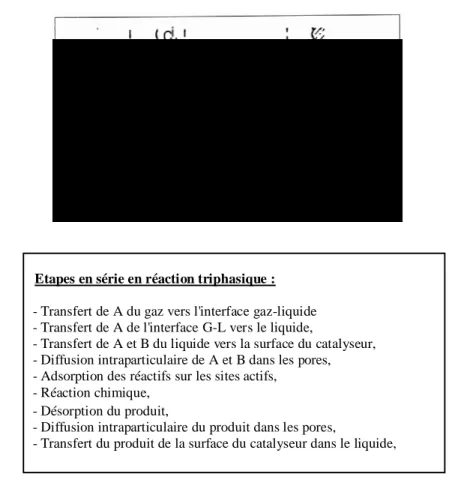 Figure 5 : Profil de concentration en réactif gazeux dans les différentes phases 