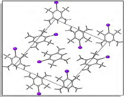 Figure IV-6:Représentation de la structure cristalline de l‟ID  suivant  le plan (100)