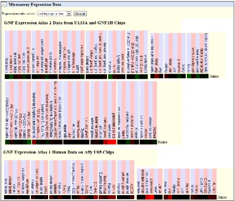 Figure 8. Profil d'expression de CFTR, d'après la base de données UCSC genome browser
