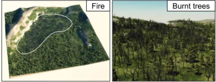 Fig. 9. A fire set by the user and advected by a north wind, with subsequent regrowth over a few years.