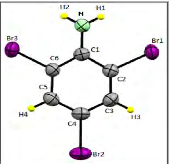 Figure -2- vue en Perspective de la Molécule 1 : C 6 H 4 NBr 3 . a l'aide du programme ''  OTRTEP3  '' 