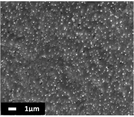 Fig. 4.14. SEM surface morphology (a, b) of Au–25wt.% Cu composition heated up  to 433K (160°C) after the homogenization (2 h at 973K (700 °C))