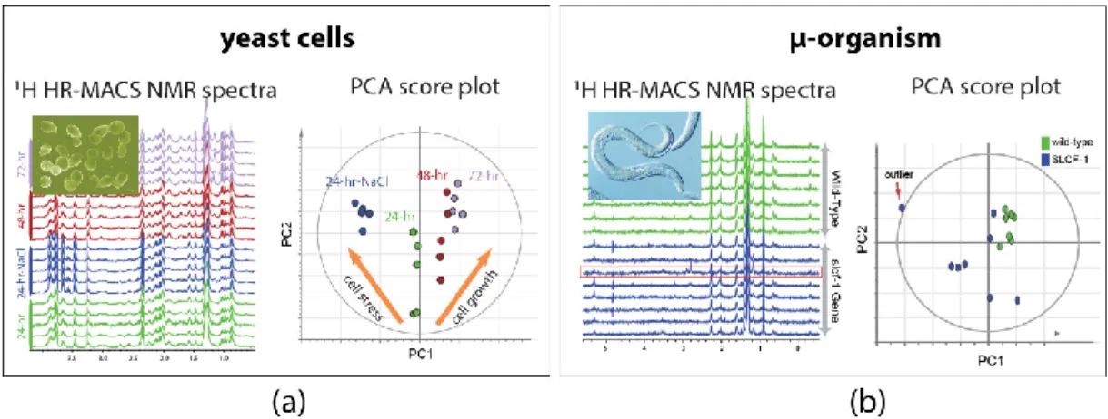 Figure 3.  1 H HR-MACS NMR spectral comparison and the principal component analysis (PCA) of (a)  different  yeast  cells  groups  and  (b)  different  strains  of  C