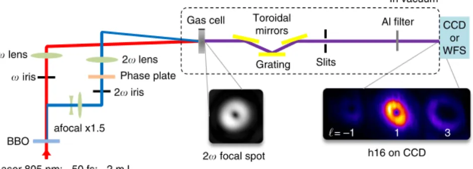 Figure 1 | Sketch of the experimental setup. The collimated laser beam (8 mm at 1/e 2 ) goes through a BBO crystal before entering a dichroic Mach-Zehnder interferometer in which the beam at 805 nm can be manipulated independently from the one generated af