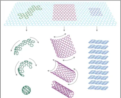 Figure  21  :  Schéma  des  différentes  formes  allotropiques  du  carbone  issues  du  graphène  (2D),  qui  peut  être  enroulé  en  nanotubes (1D), en fullerènes (0D), ou associés sous forme de graphite (3D), Geim et al