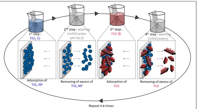 Figure  36  :  Représentation  schématique  de  l'alternance  des  dépôts  de  TiO 2   et  de  FLG  dans  l'élaboration  des  films  LbL  PEI(TiO 2 /FLG) n 