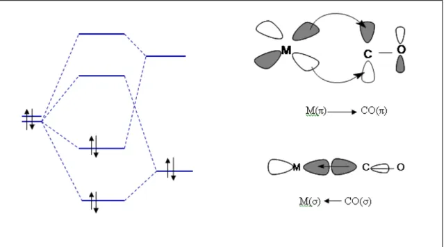 Figure 7  :  relation entre le ligand CO et le métal [7]. 