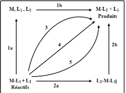 Figure 3 : Diagramme schématique d’une réaction de  remplacement d’un ligand 