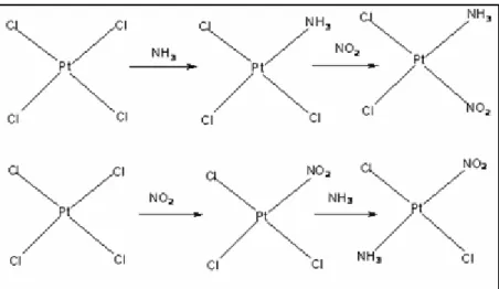 Figure 6 : synthèse du cis- et trans-[Pt(NH 3 )(NO 2 )Cl 2 ] -