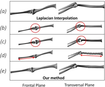 Fig. 8. (a): Laplacian Interpolation, (b): registration without joint con- con-straint (overlaps between bones), (c): registration without joint constraint (bone heads disconnection), (d): registration without alignment constraint (bent and twisted bones),