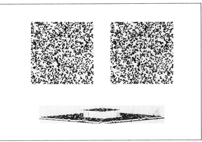 Figure  4.1.  25%  Density  Random  Dot  Pattern.  The  top  pair  of  images  are  a  stereo  pair  of random  dot  patterns