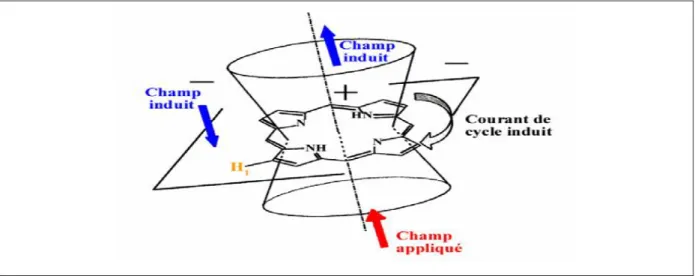 Figure I-6 : cône d'anisotropie magnétique de la prophine [16]