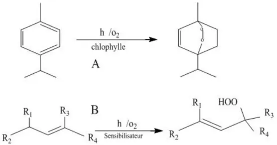 Figure I-25 : A-Formation de l'ascaridole ; B-Hydroperoxydation des oléfines [25]. 