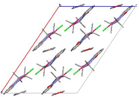 Fig 4 : Arrangement des molécules du complexe {1} dans le plan a,c 