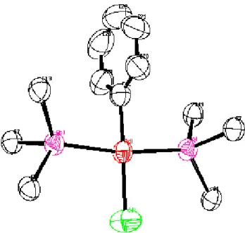 Fig 7 : Cœur de la molécule du complexe {2} 