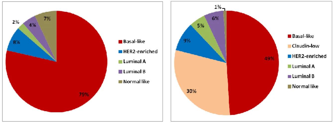 Figure 6: Distribution of dinstinct molecular subtype in breast cancer (Modified from Prat  and Perou