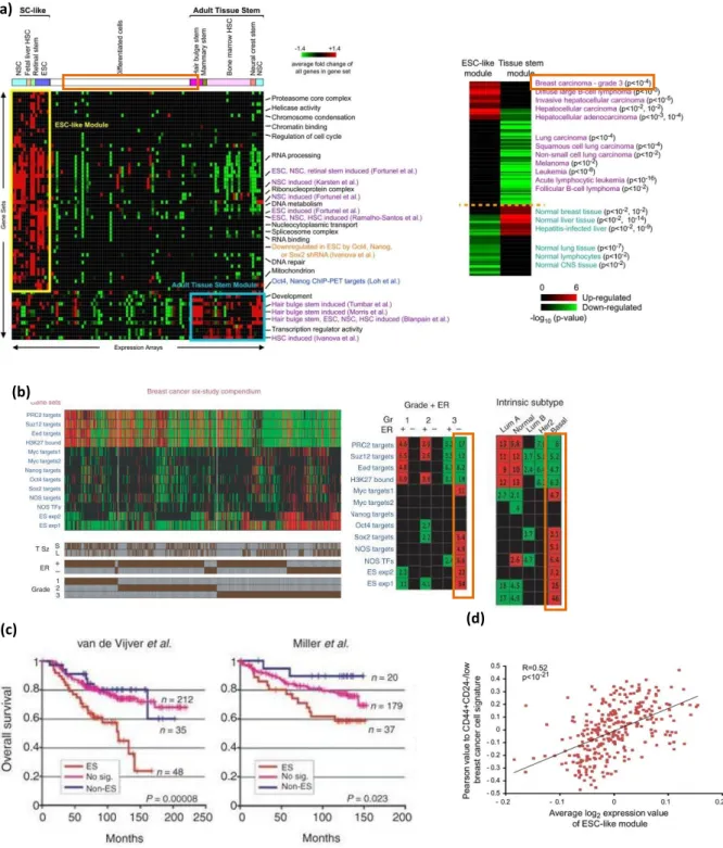 Figure 10: Poorly differentiated breast cancers show an ES-like enrichment pattern. 