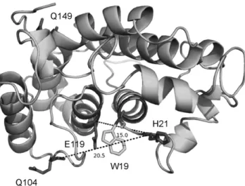 Figure 2 (upper panels) shows room temperature EPR spectra of the four labeled NarJT proteins recorded in the absence and presence of NarG(1–15) peptide