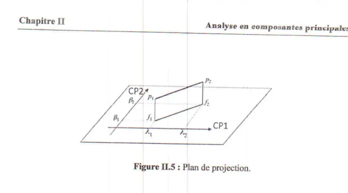 Figure  ILs  I  plan  de  prcjection.