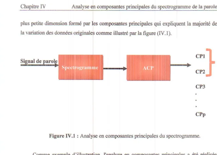 Figure  IV.l  :  AnalyFe  en composantes  principales  du spectrogramme.