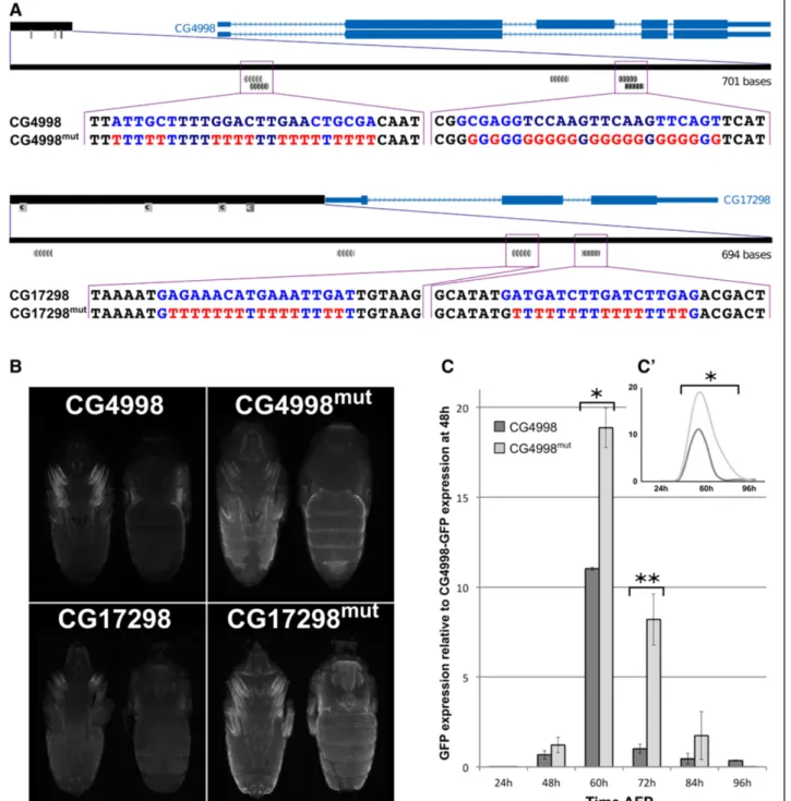 Figure 5 NR motifs are functional within CRMsNR motifs are functional within CRMs. A) Schematic representation of mutations performed in NR motifs of CG4998 (top) and CG7298 (bottom) CRMs
