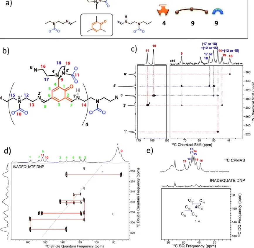 Fig. 1 (a) Building block content and molecular patterns previously identified. 14  (b) Structure of the oligo-dynablock proposed here based upon solid-state NMR analysis