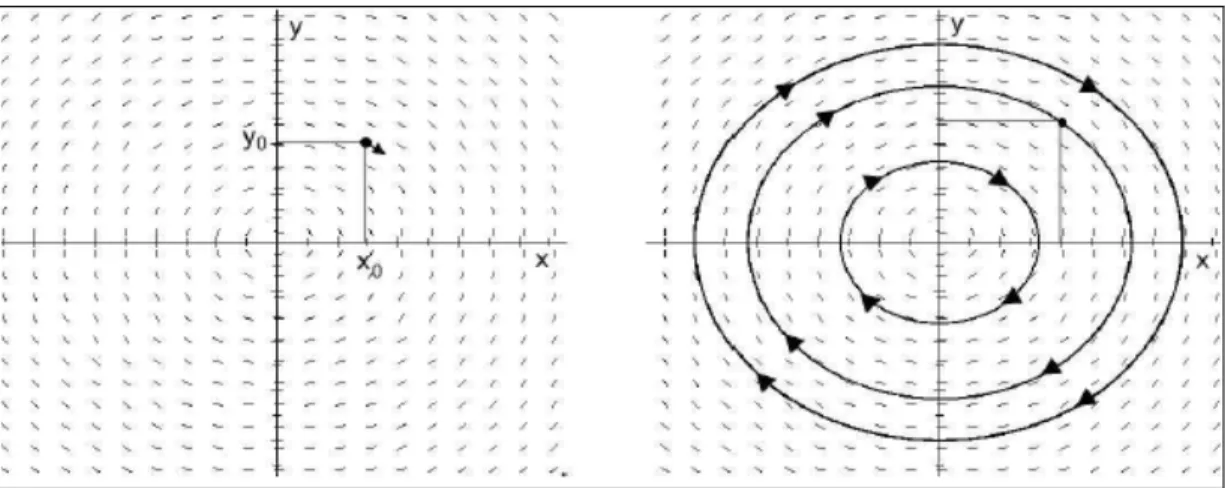 Fig. 2-1 –Le champ de vecteurs associé à un réseau de points qui couvrent le plan (x; y)